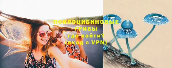 apvp Нягань