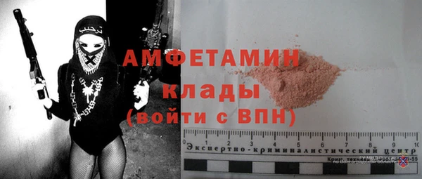 мдпв Осташков