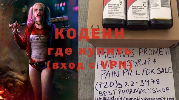 шишки Нязепетровск