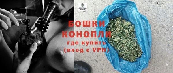 шишки Нязепетровск
