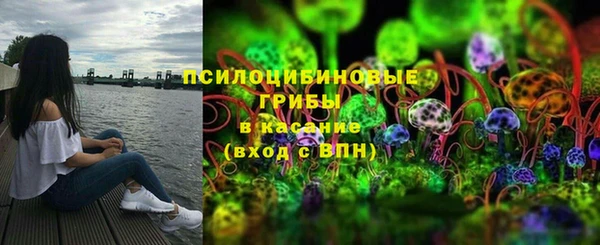 шишки Нязепетровск