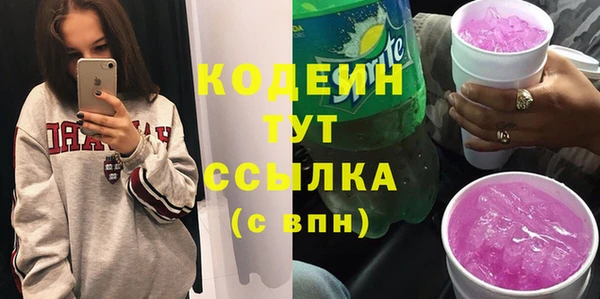 шишки Нязепетровск