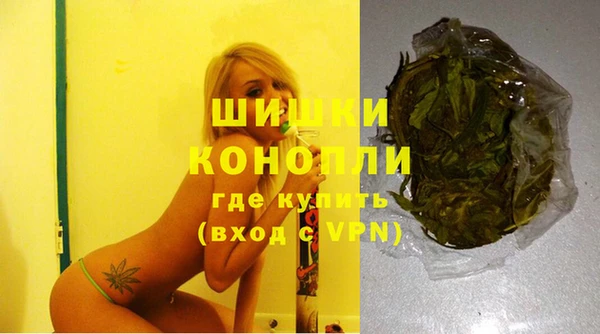 шишки Нязепетровск