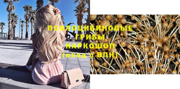 шишки Нязепетровск