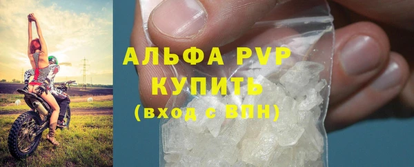шишки Нязепетровск