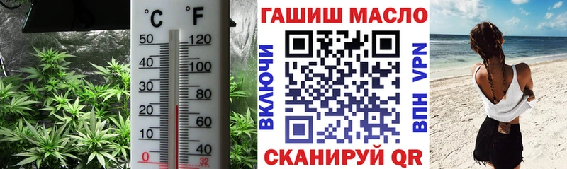 мориарти телеграм  Алупка  Дистиллят ТГК THC oil  цены  