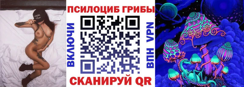 kraken как войти  купить наркотики цена  Алупка  Галлюциногенные грибы Magic Shrooms 